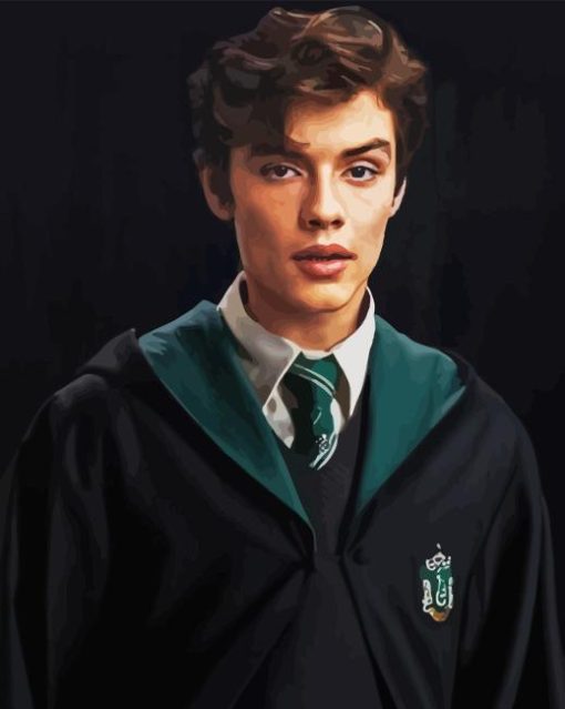 Harry Potter Mattheo Riddle Diamond Painting