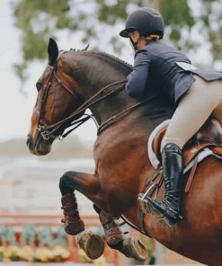 Horse Jumping The Fence Diamond Painting