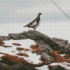 Lonely Ptarmigan Diamond Painting