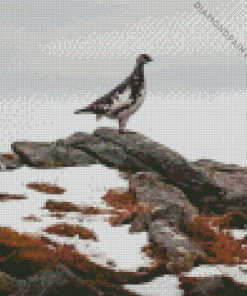 Lonely Ptarmigan Diamond Painting