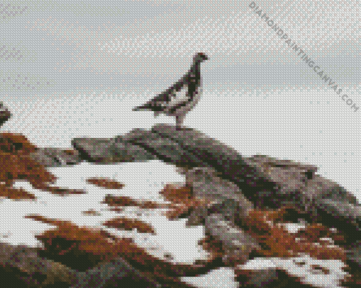 Lonely Ptarmigan Diamond Painting