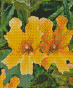 Orange Monkey Flowers Diamond Painting