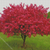 Pink Crabapple Tree Diamond Painting