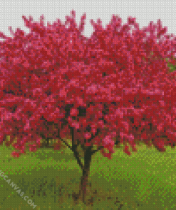 Pink Crabapple Tree Diamond Painting