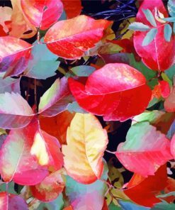 Red Autumn Leaves Poison Ivy Diamond Painting