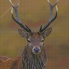 Red Deer Diamond Painting