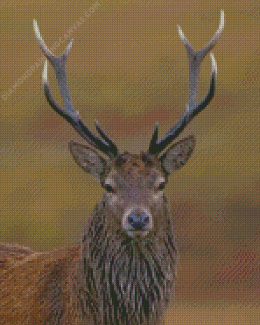 Red Deer Diamond Painting