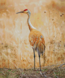 Sandhill Crane Diamond Painting