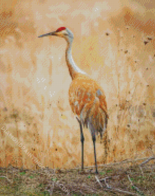 Sandhill Crane Diamond Painting