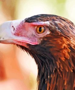 Wedge Tailed Eagle Bird Head Diamond Painting