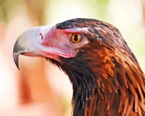 Wedge Tailed Eagle Bird Head Diamond Painting