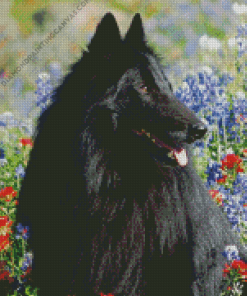 Belgian Sheepdog Diamond Painting