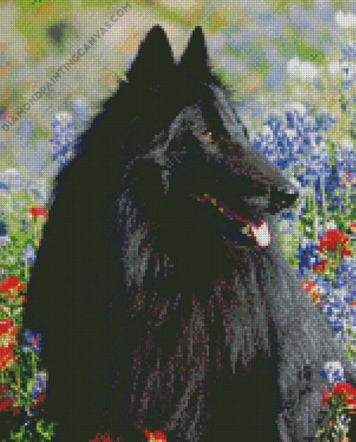 Belgian Sheepdog Diamond Painting