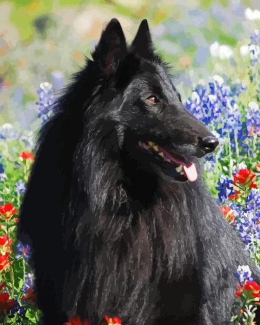 Belgian Sheepdog Diamond Painting