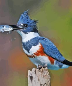 Belted Kingfisher Diamond Painting