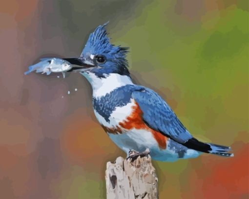 Belted Kingfisher Diamond Painting