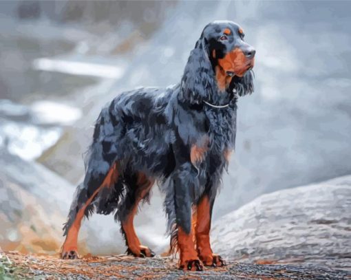 Big Gordon Setter Diamond Painting