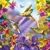 Butterflies And Hummingbirds Diamond Painting