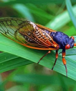 Cicadas On Leaves Diamond Painting