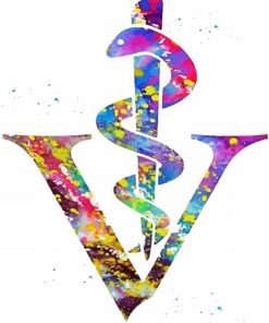 Colorful Veterinarian Symbol Diamond Painting