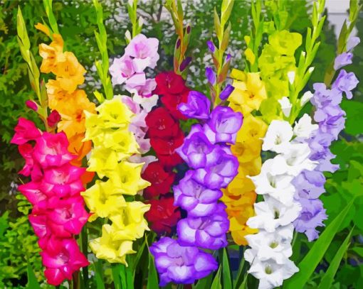 Colorful Gladioli Diamond Painting