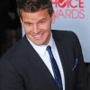 David Boreanaz Smiling Diamond Painting