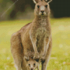 Eastern Grey Kangaroos Diamond Painting