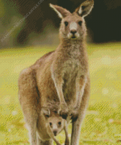 Eastern Grey Kangaroos Diamond Painting