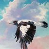 Flying Australian Magpie Art Diamond Painting