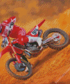 German Racer Ken Roczen Diamond Painting