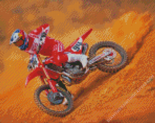 German Racer Ken Roczen Diamond Painting