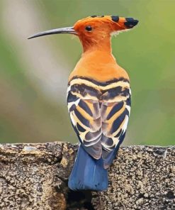 Hoopoe Bird Diamond Painting