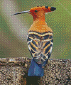 Hoopoe Bird Diamond Painting