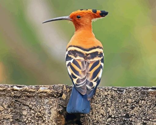 Hoopoe Bird Diamond Painting