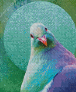 Kereru Bird Diamond Painting