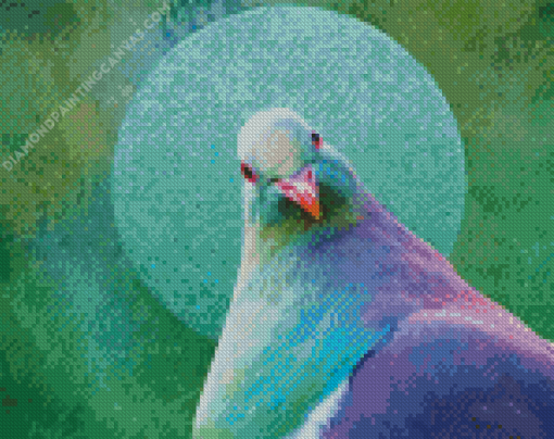 Kereru Bird Diamond Painting