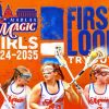 Lacrosse Girls Poster Diamond Painting