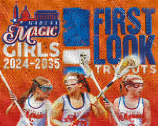 Lacrosse Girls Poster Diamond Painting