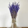 Lavender In Glass Vase Diamond Painting