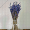 Lavender In Glass Vase Diamond Painting