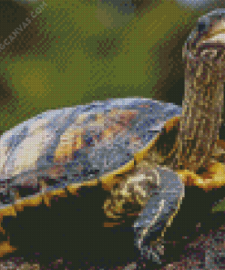 Long Neck Turtle Diamond Painting