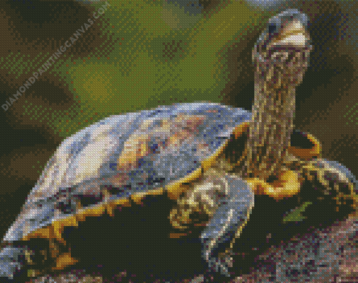 Long Neck Turtle Diamond Painting