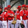 Louisville Cardinals Diamond Painting