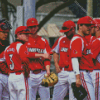 Louisville Cardinals Diamond Painting