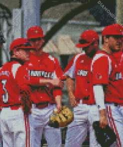 Louisville Cardinals Diamond Painting