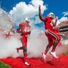 Louisville Cardinals Football Diamond Painting