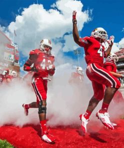 Louisville Cardinals Football Diamond Painting