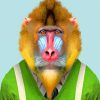 Mandrill Wearing Clothes Diamond Painting