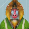 Mandrill Wearing Clothes Diamond Painting