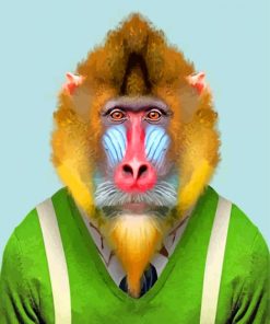 Mandrill Wearing Clothes Diamond Painting